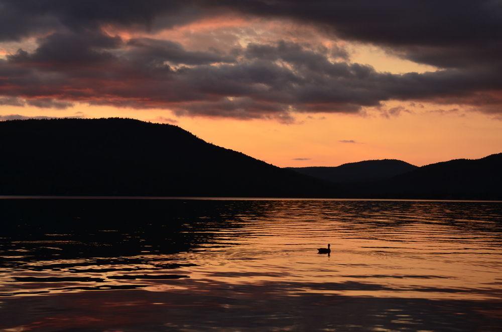 Motel Le Fleuron Saint-Donat-de-Montcalm Kültér fotó